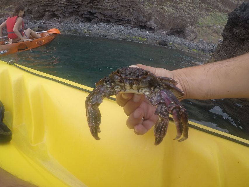 Madeira: Garajau Nature Reserve Kayak and Snorkel Tour - Paddle to Lazareto and the Pebble-Beach Stop