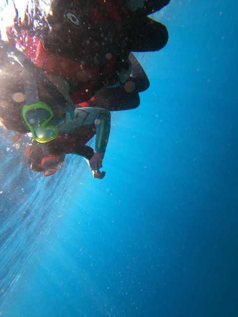 Madeira: Half-Day Coasteering Tour - Coasteering in Madeira: the practical version of an ocean adventure