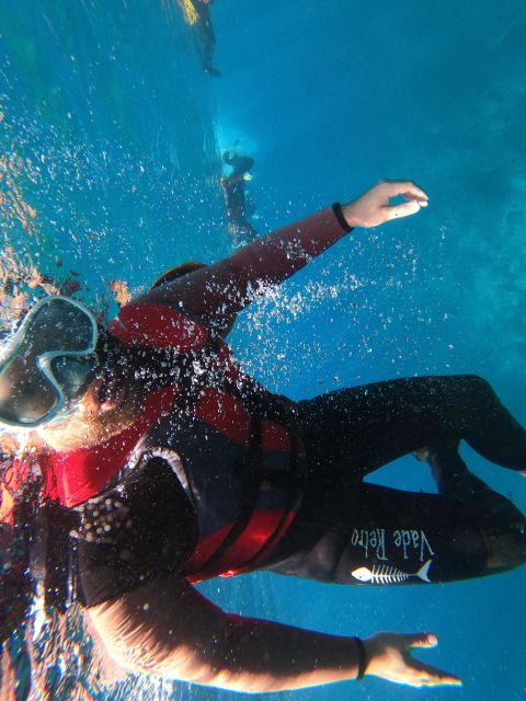 Madeira: Half-Day Coasteering Tour - Cliff jumps and cave snorkeling: where the tour earns its reputation