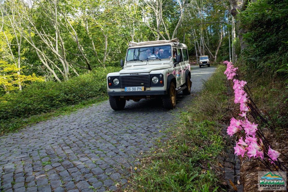 Madeira: Half-Day Nun's Valley and Sea Cliff Tour - Why Nun’s Valley and Sea-Cliff Stops Fit the Half-Day Format