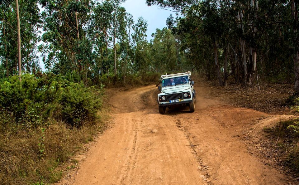 Madeira: Half-Day Nun's Valley and Sea Cliff Tour - Who Should Book This Jeep Safari, and Who Should Skip It