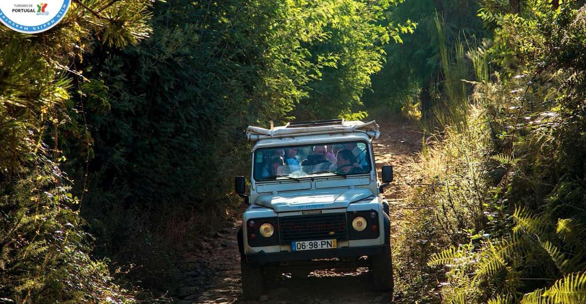 Madeira: Half-Day Nun's Valley and Sea Cliff Tour - Pickup in Funchal, Then Straight Into Mountain Roads