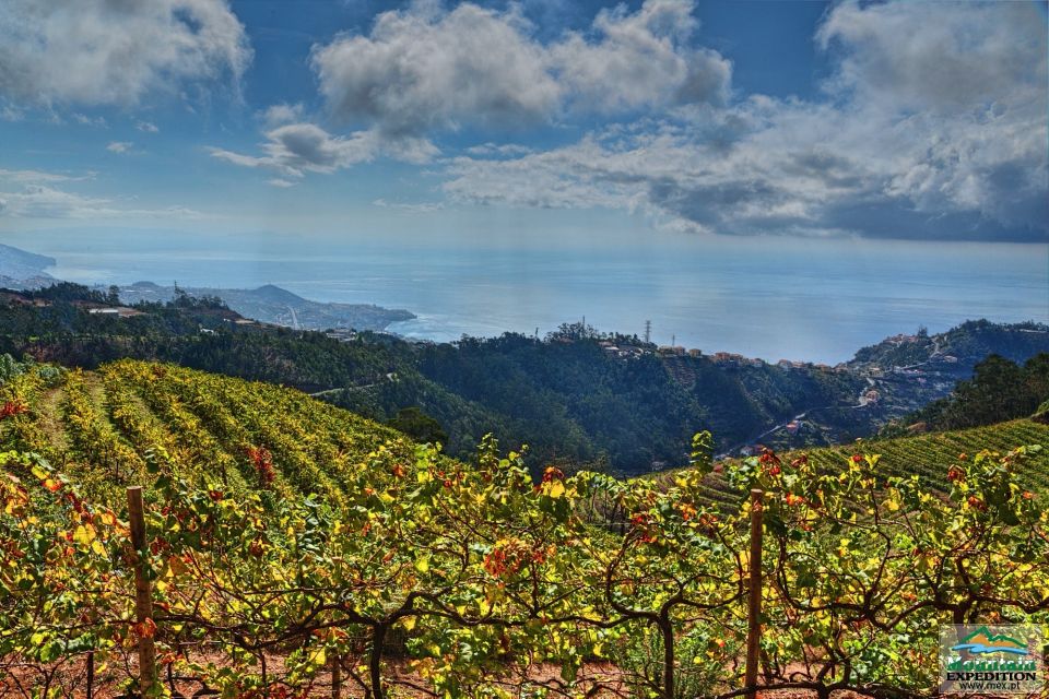 Madeira: Half-Day Nun's Valley and Sea Cliff Tour - Cabo Girão Cliff: The Big View Moment Near the End