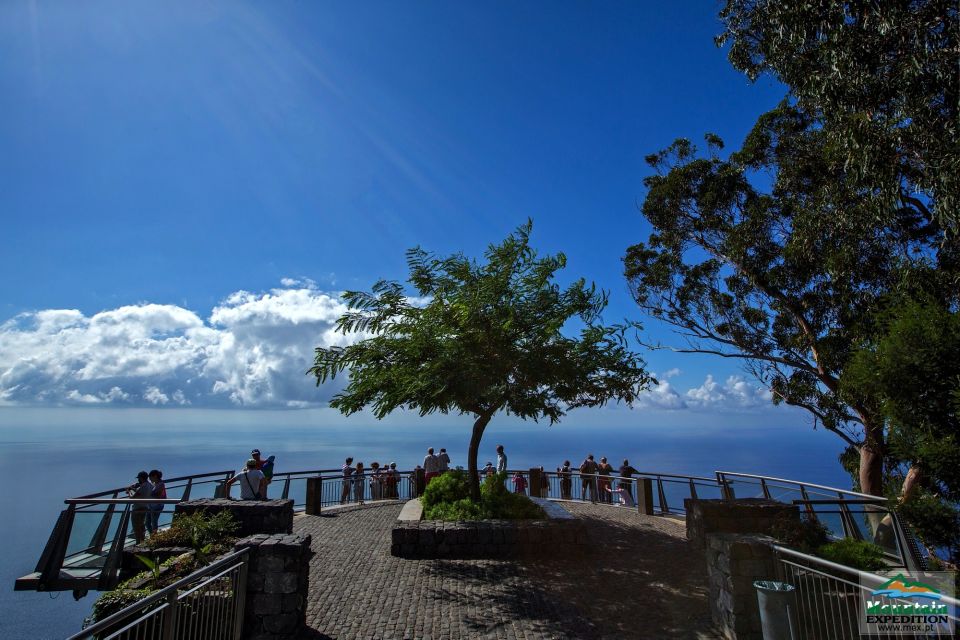 Madeira: Half-Day Nun's Valley and Sea Cliff Tour - Price and Value: What $55 Buys You (and What It Doesn’t)