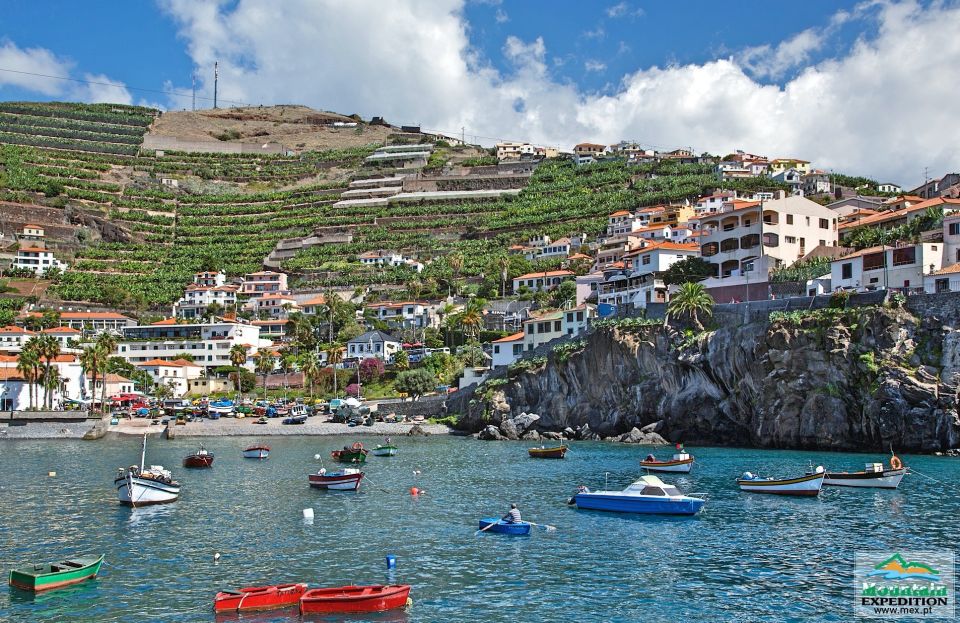 Madeira: Half-Day Nun's Valley and Sea Cliff Tour - What to Bring: Layers, Grip, and Sun Protection