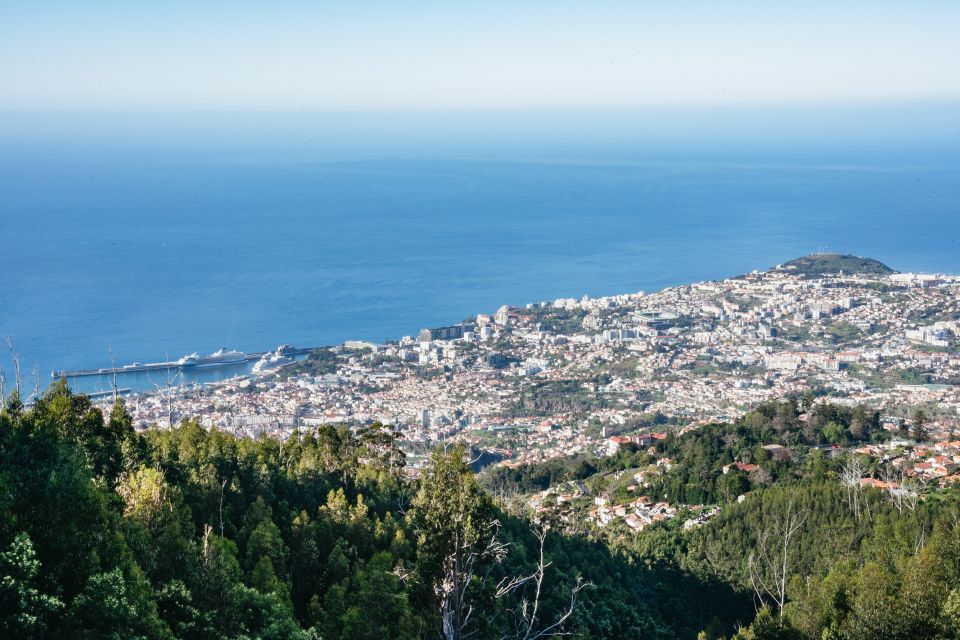 Madeira: Half-Day Pico Arieiro Jeep Tour - Pickup to First Stops: Easy Start, Real-Time Comfort