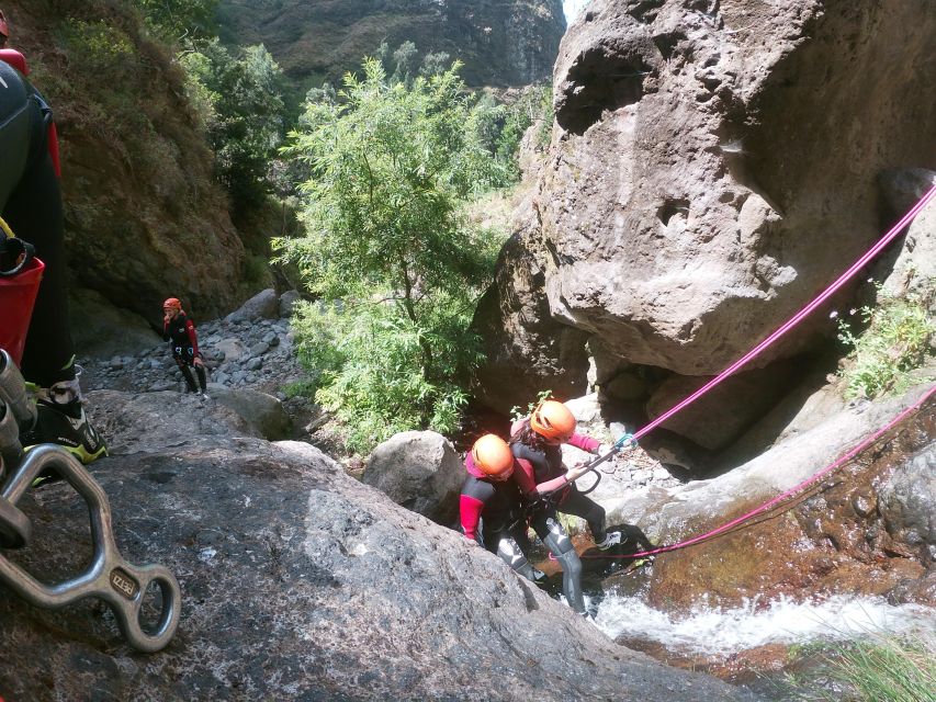 Madeira: Intermediate (Level 2) Canyoning Experience - Price and value: does $106 buy real canyon time?