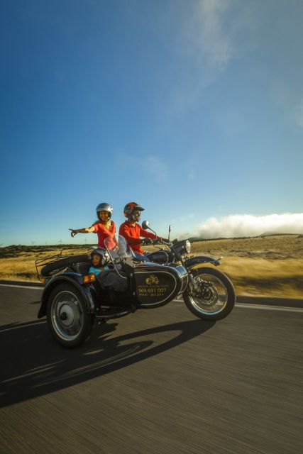 Madeira Island: 3-Hour Old Road Tour by Sidecar - The Madeira wine production area: the island’s other kind of scenery