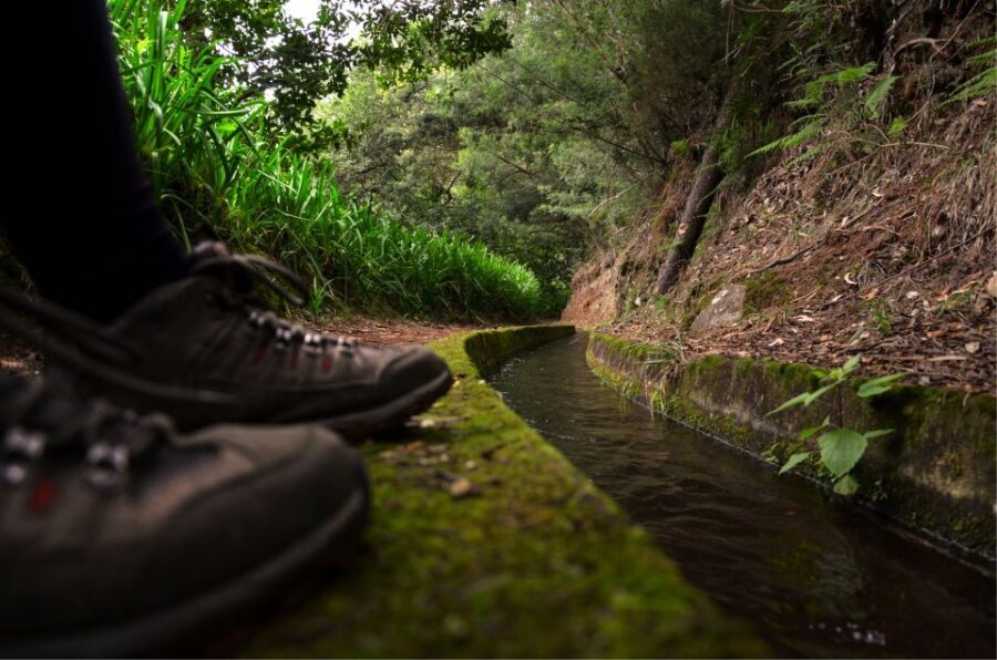 Madeira Island: Caldeirão Verde Levada Walk - Entering Queimadas: the day starts before the first trail step