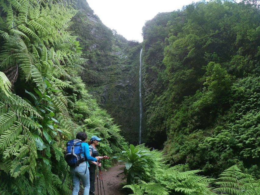 Madeira Island: Caldeirão Verde Levada Walk - The 13 km / 75 m reality check: moderate, but not short