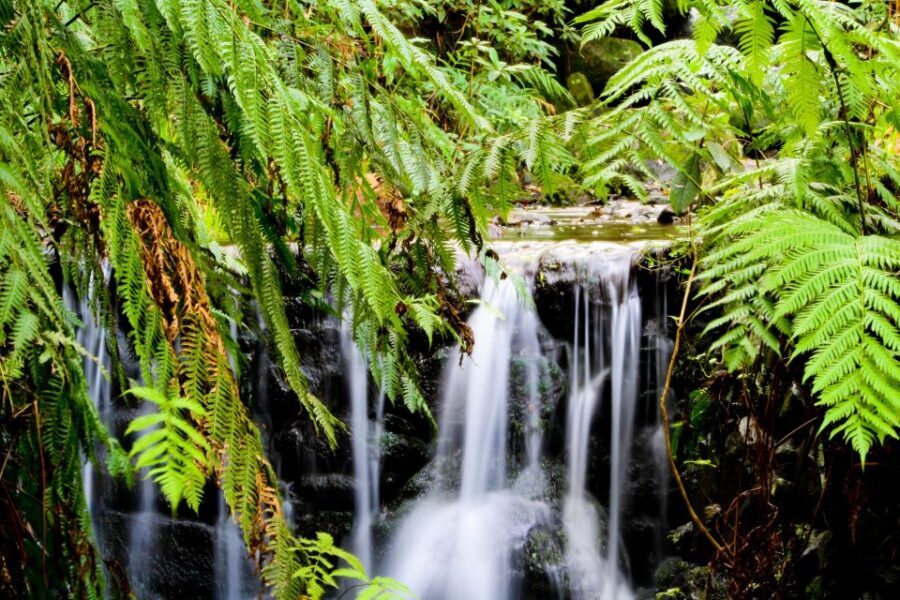 Madeira Island: Caldeirão Verde Levada Walk - Four natural tunnels and what they mean for your comfort