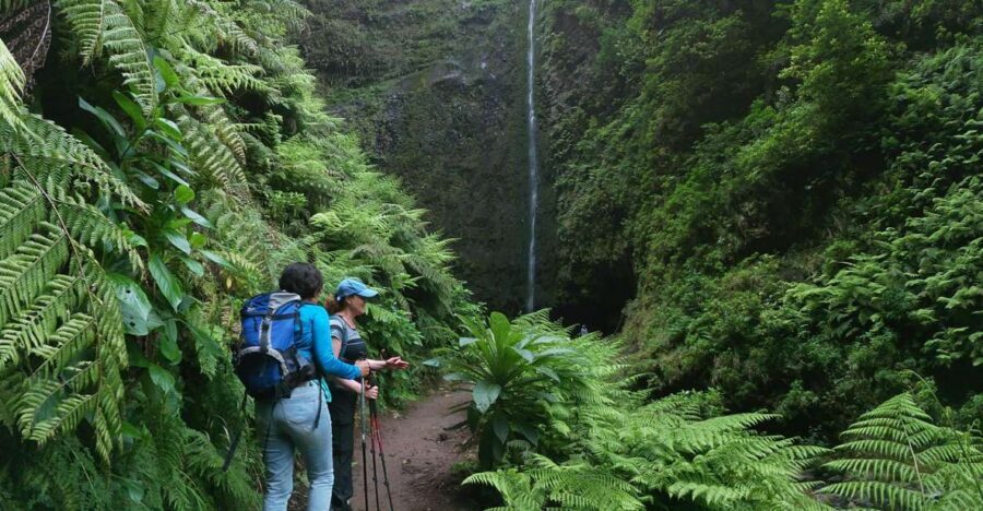 Madeira Island: Caldeirão Verde Levada Walk - Caldeirão Verde: the waterfall stop that defines the day