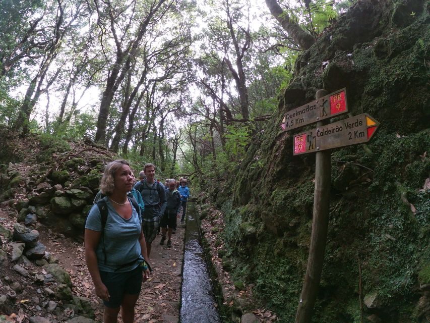 Madeira Island: Caldeirão Verde Levada Walk - What to pack (and why guides care about it)
