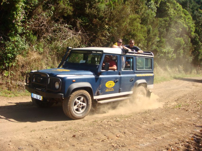 Madeira Island Full-Day Jeep Tours - Off-road comfort: seating, bumps, and rain reality