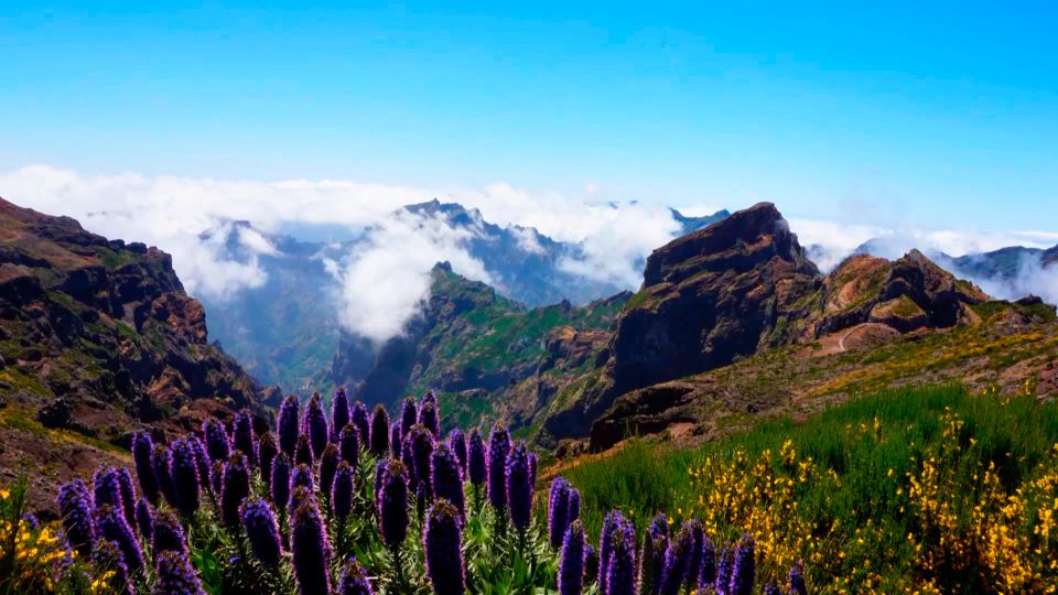 Madeira: Jeep tour Pico Areeiro, Santa Cruz and Cristo Rei - What’s Included, What Isn’t, and What to Bring