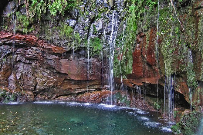 Madeira Levada Walk - Rabacal Lakes and Fountains - Key things to know before you go