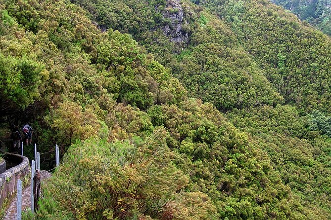 Madeira Levada Walk - Rabacal Lakes and Fountains - What the hike feels like: levada walking, stairs, and that tunnel moment