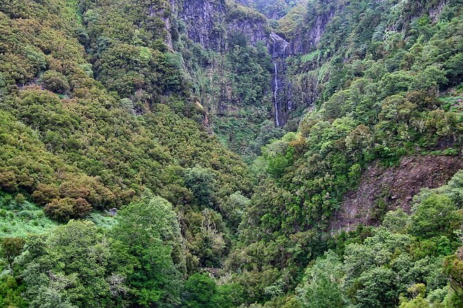 Madeira Levada Walk - Rabacal Lakes and Fountains - Guides, small groups, and why it matters on a narrow trail