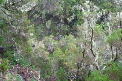 Madeira Levada Walk - Rabacal Lakes and Fountains - Step-by-step route: from Funchal pickup to Rabacal fountains
