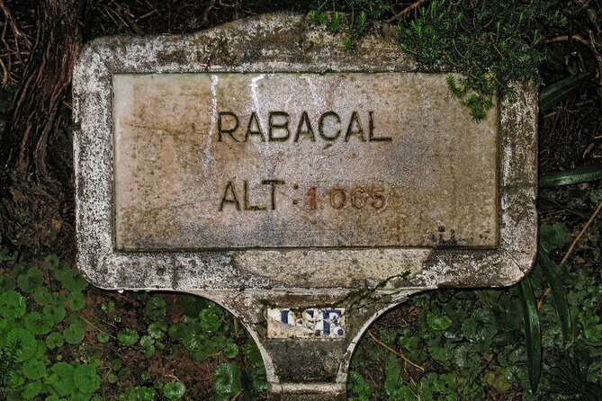 Madeira Levada Walk - Rabacal Lakes and Fountains - Crowds at Rabacal: how to handle the 25 Fontes bottleneck