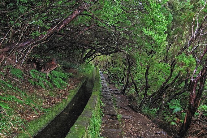 Madeira Levada Walk - Rabacal Lakes and Fountains - What to pack for a wet tunnel and narrow paths