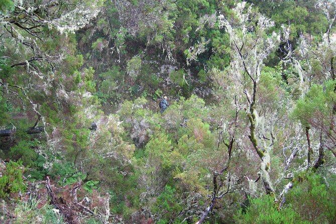 Madeira Levada Walk - Rabacal Lakes and Fountains - Step-by-step route: from Funchal pickup to Rabacal fountains