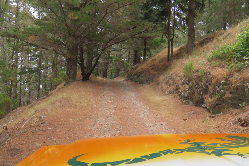 Madeira : Nun's Valleys and Pico Areeiro 4X4 Tour - What to Bring (and What to Wear) for a Smooth Tour