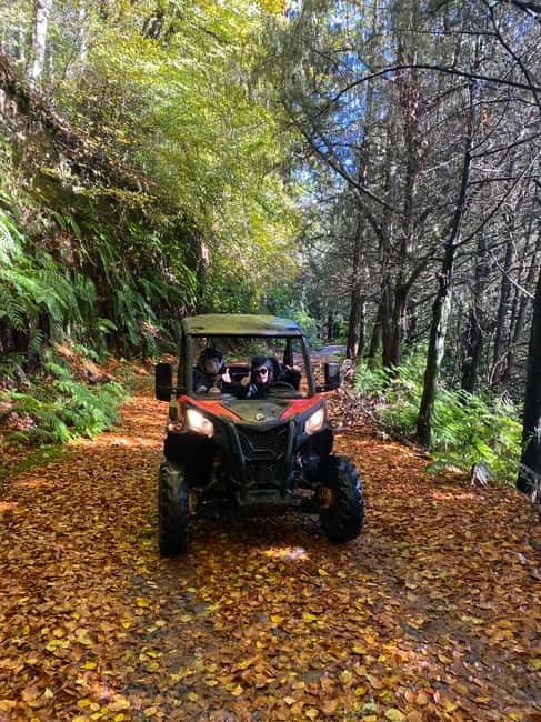 Madeira: Off-Road Buggy Driving Experience - Who This Buggy Tour Suits Best