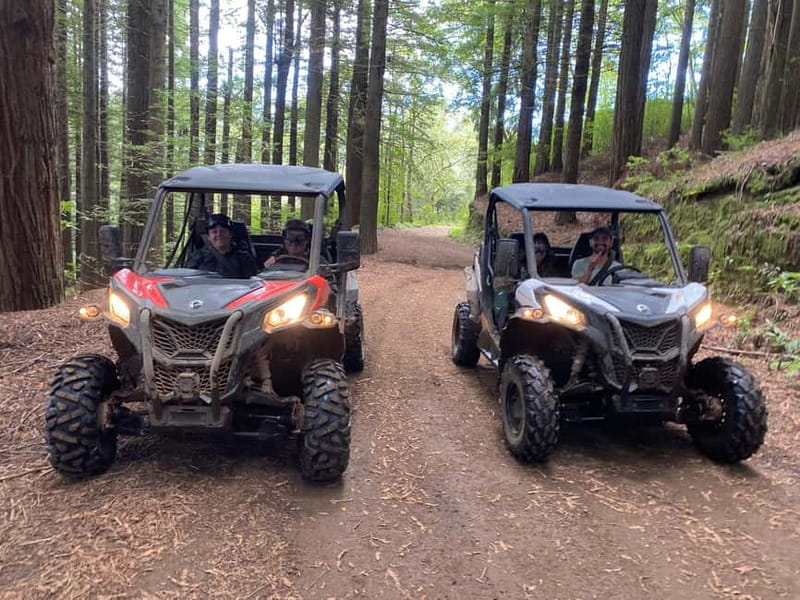 Madeira: Off-Road Buggy Driving Experience - What the 2 Hours Feel Like: A Simple Plan That Works