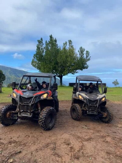 Madeira: Off-Road Buggy Driving Experience - The Double Buggy: Easy Controls, Real Off-Road Fun