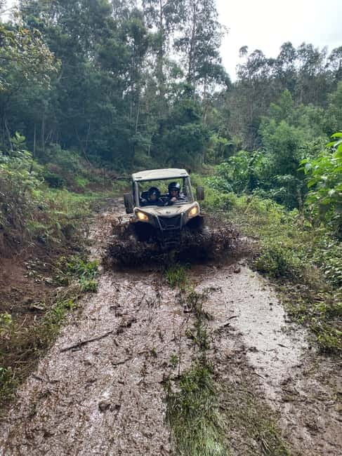 Madeira: Off-Road Buggy Driving Experience - Stops and Scenery: From UNESCO Forest to Big Viewpoints