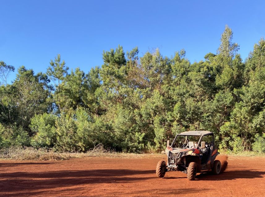 Madeira: Off-Road Buggy Driving Experience - Price and Value: $171 Per Group Up to 2 (How to Judge It)