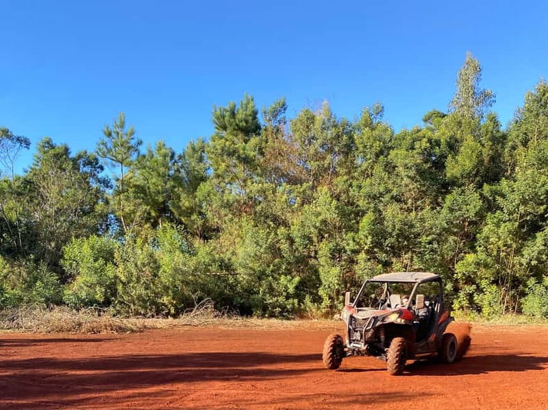 Madeira: Off-Road Buggy Driving Experience - Meeting Point: The Red-and-White House by the School