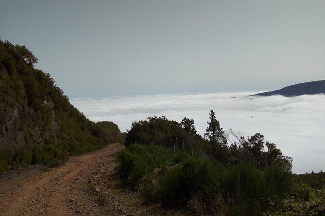 Madeira Off-Road Tours - The vehicle size and guide style: why comfort matters on off-road roads