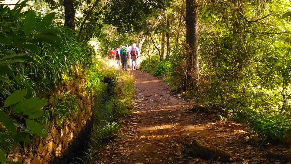Madeira: Paradise Valley Levada Walk - Paradise Valley: What Makes This Levada Walk So Special
