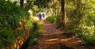 Madeira: Paradise Valley Levada Walk - The Route From Vale do Paraíso Toward Rochão