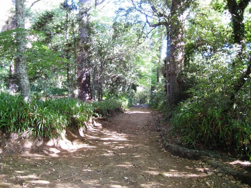 Madeira: Paradise Valley Levada Walk - What You Get for $38: Value Beyond the Price Tag