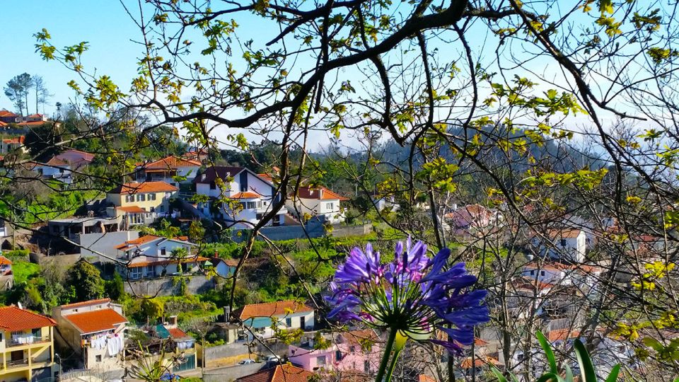 Madeira: Paradise Valley Levada Walk - Should You Book Paradise Valley Levada Walk?