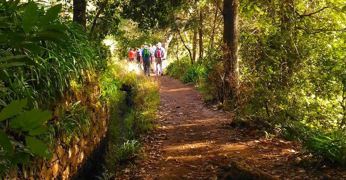 Madeira: Paradise Valley Levada Walk - The Route From Vale do Paraíso Toward Rochão