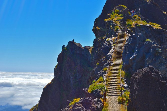 Madeira Peaks - Mountain Walk - From Funchal pickup to mountain air: how the day is timed