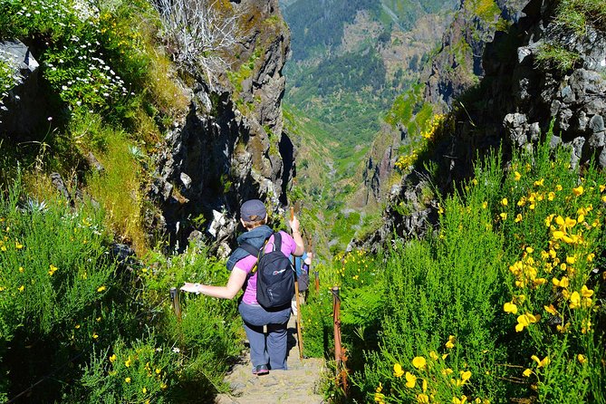 Madeira Peaks - Mountain Walk - Crowds, start times, and how visibility changes the whole experience