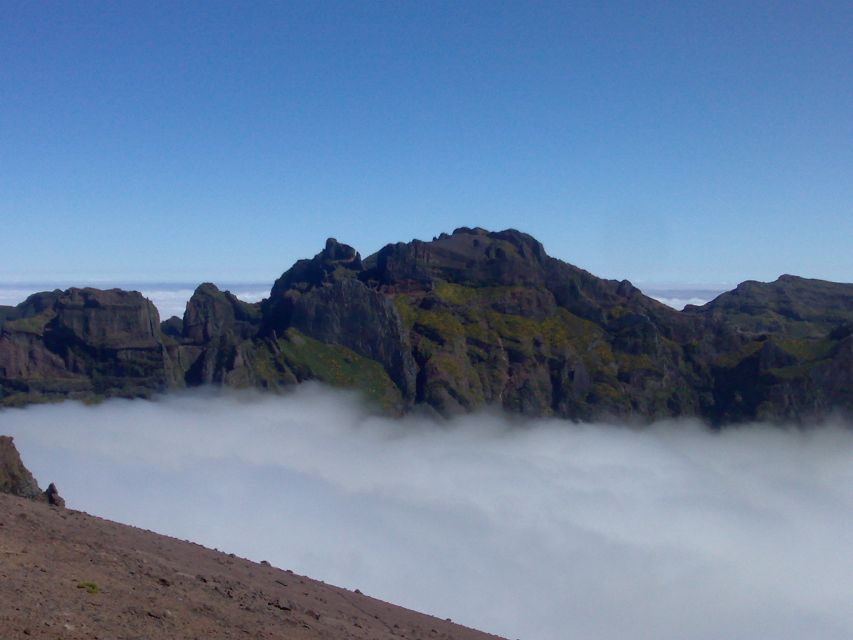 Madeira: Pico do Arieiro & Laurissilva Forest - East tour - Should you book this East Tour with Madeira Island Tours?