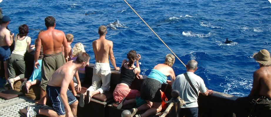 Madeira Pirate Ship: 3-Hour Boat Trip - Cabo Girão: the stop that turns a coastal cruise into a memory