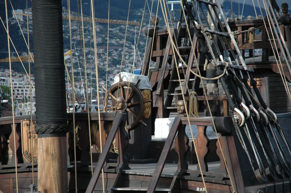 Madeira Pirate Ship: 3-Hour Boat Trip - Dolphins and whales: how to make the best odds of seeing them