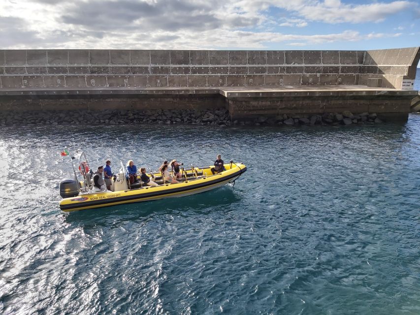 Madeira: Ponta de São Lourenço Lighthouse Boat Tour - Ilhéu dos Desembarcadouros: protected islet, caves, and calm bays