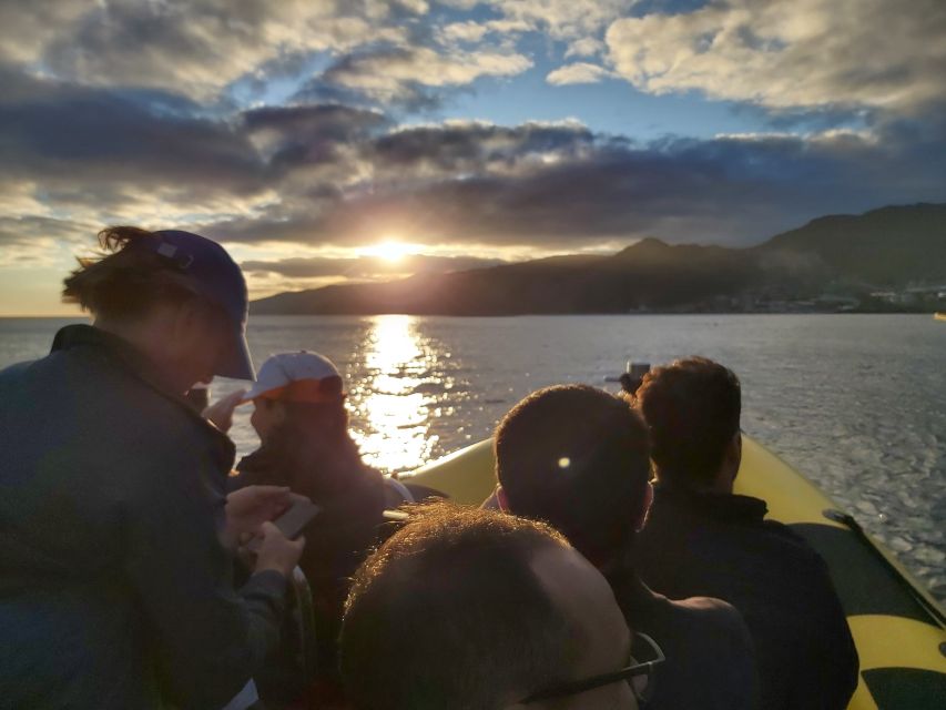 Madeira: Ponta de São Lourenço Lighthouse Boat Tour - Price and value: is $20 worth it?