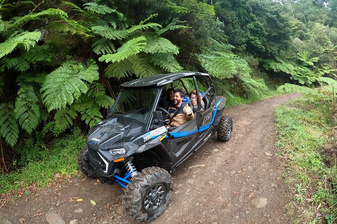 Madeira Private Buggy Adventure: Forest and Mountains - Polaris RZR XP 1000: The Real Madeira Experience Starts With the Machine