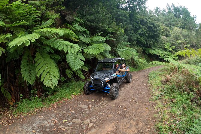 Madeira Private Buggy Adventure: Forest and Mountains - Safety Briefing and Mountain Driving: How They Keep It Fun