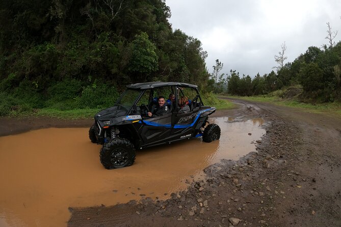 Madeira Private Buggy Adventure: Forest and Mountains - Meeting Point: Parque de Estacionamento Saba Monumental (Funchal)