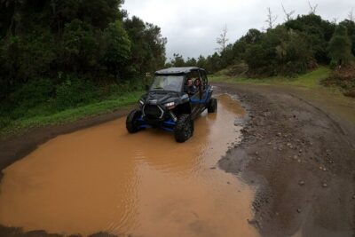 Madeira Private Buggy Adventure: Forest and Mountains - How the 4-Hour Route Feels: On-Road, Off-Road, Then Back to Base